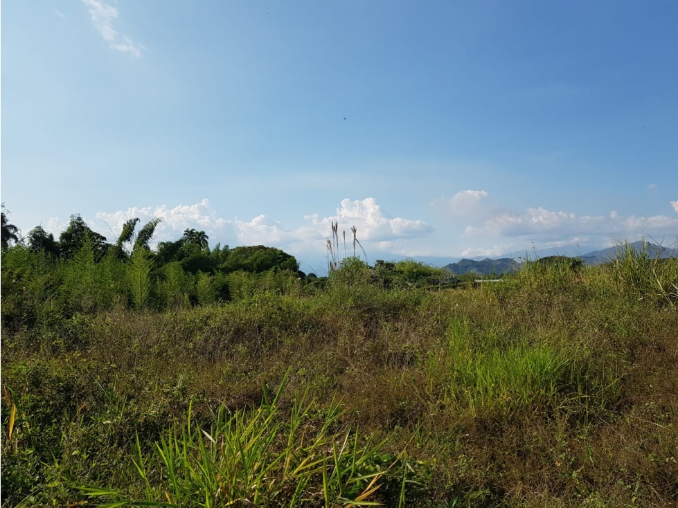 Lote independiente para la venta en Cerritos, Pereira!!! — foto 6