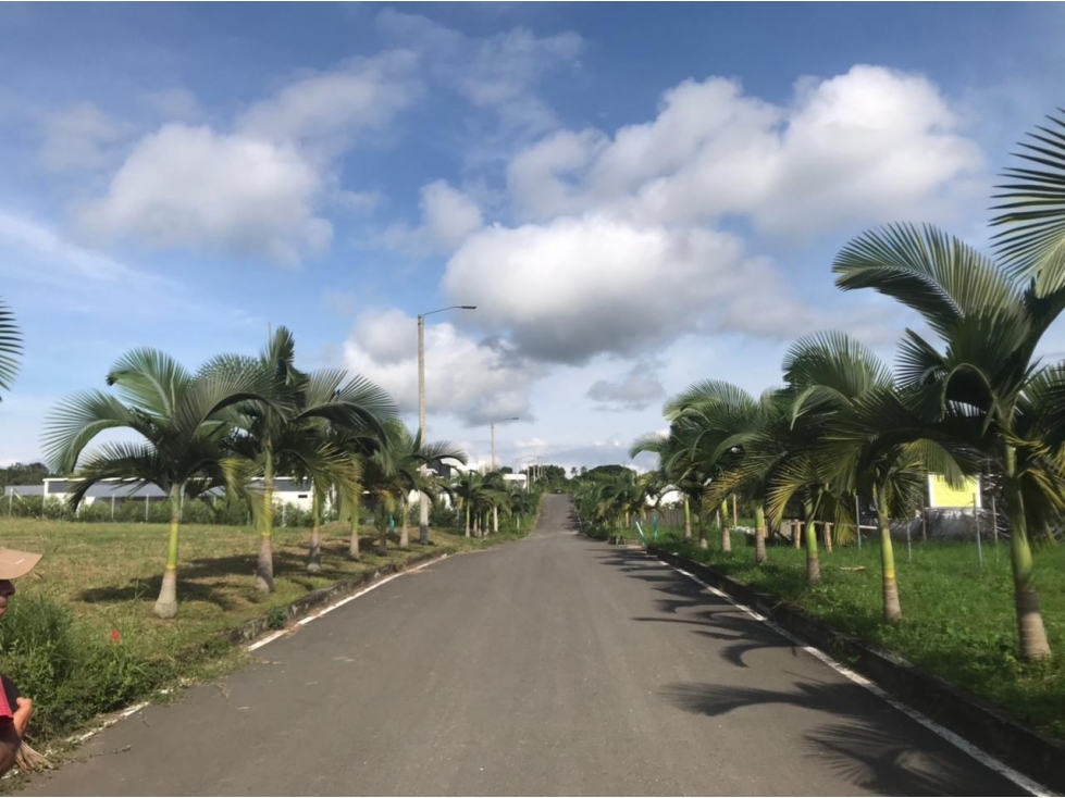 Lote para la venta en la vereda los planes cerritos Pereira!!! — foto 5
