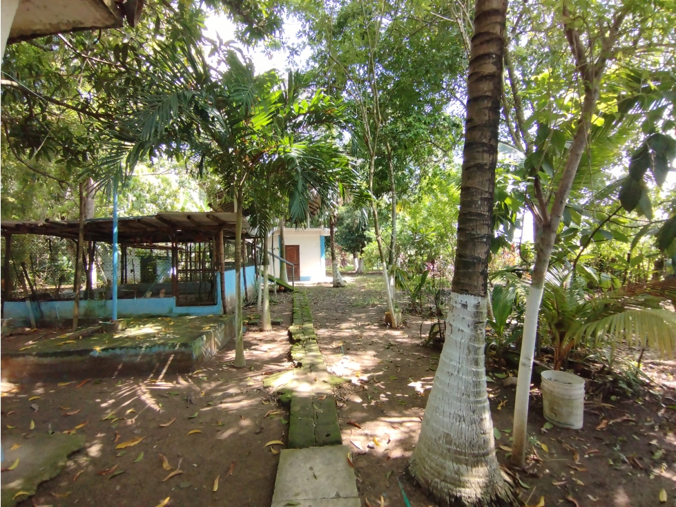 FINCA DE 2.5 HECTAREAS PARA VENTA EN SANTA ROSA DE LIMA - 2