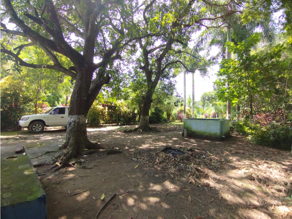 FINCA DE 2.5 HECTAREAS PARA VENTA EN SANTA ROSA DE LIMA - 3