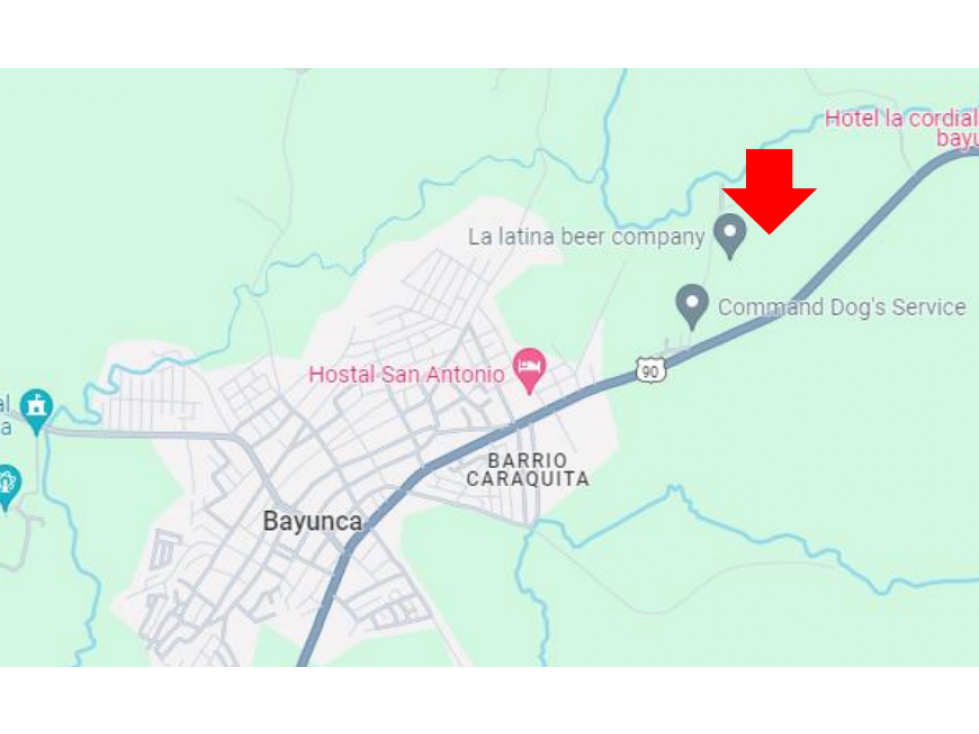 LOTE DE 1.5 HA PARA VENTA EN BAYUNCA — foto 6