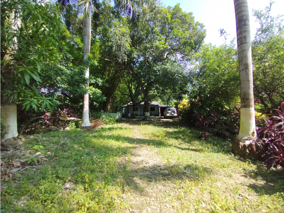 FINCA DE 2.5 HECTAREAS PARA VENTA EN SANTA ROSA DE LIMA - 5