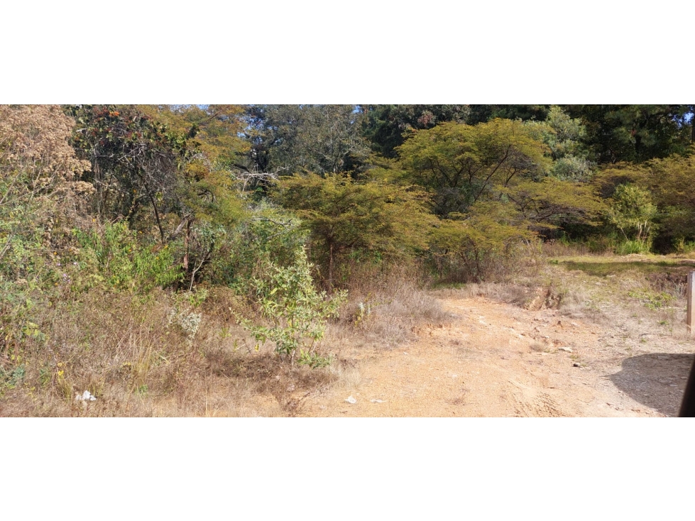 TERRENO EN VENTA EN RINCÓN DE ESTRADAS - 1