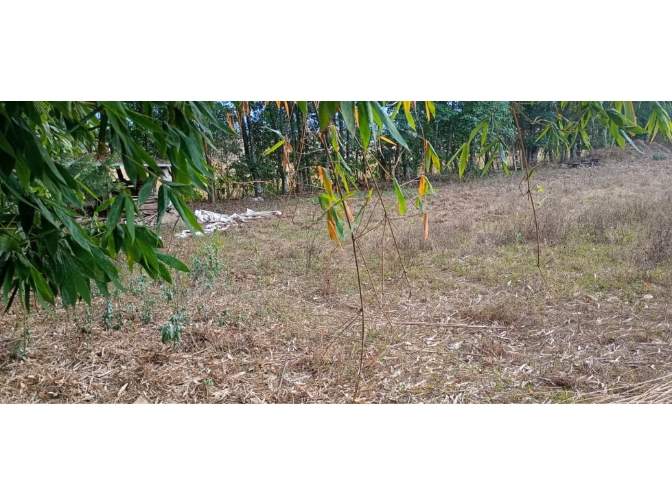 TERRENO EN VENTA EN ACATITLÁN - 1