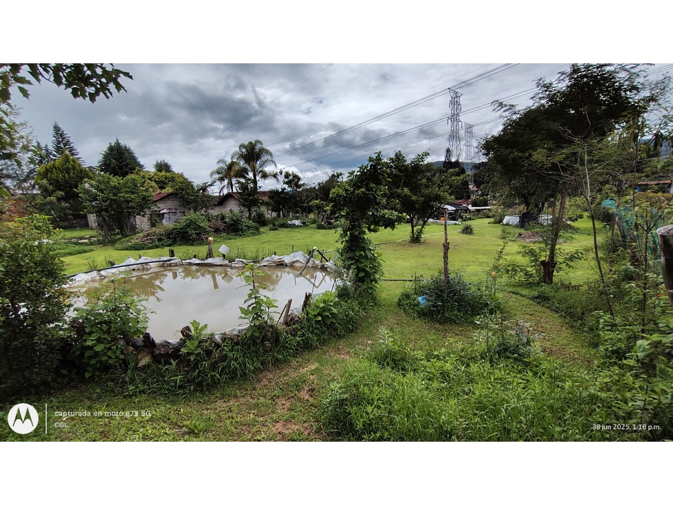 TERRENO EN RENTA EN PIPIOLTEPEC - 1