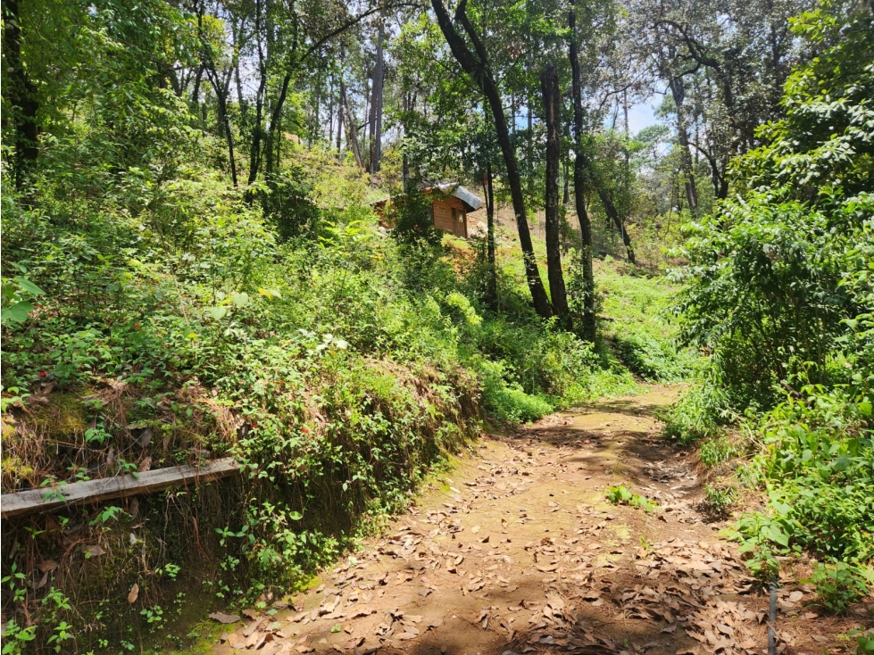 TERRENO EN VENTA EN AVANDARO - 1