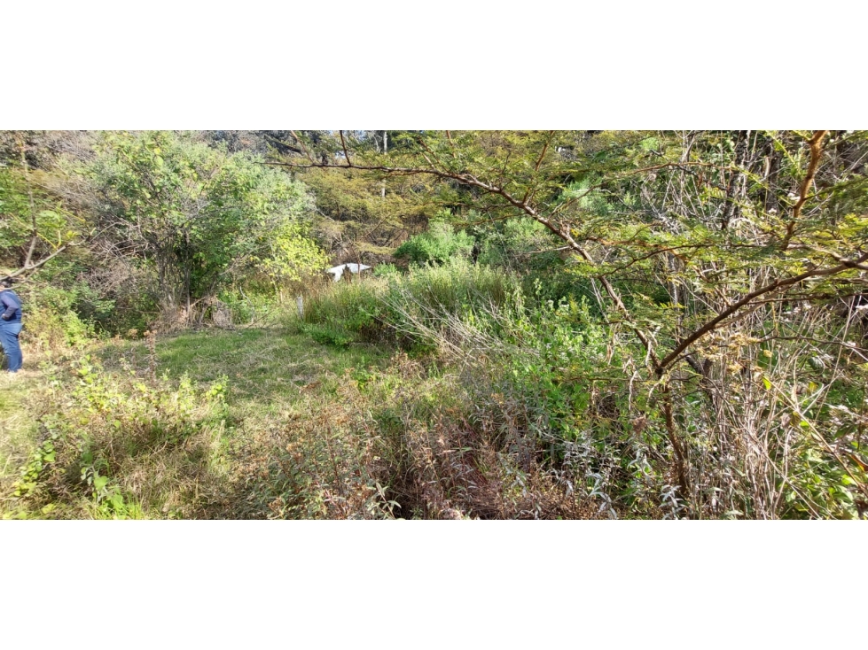 TERRENO EN VENTA EN RINCÓN DE ESTRADAS - 2
