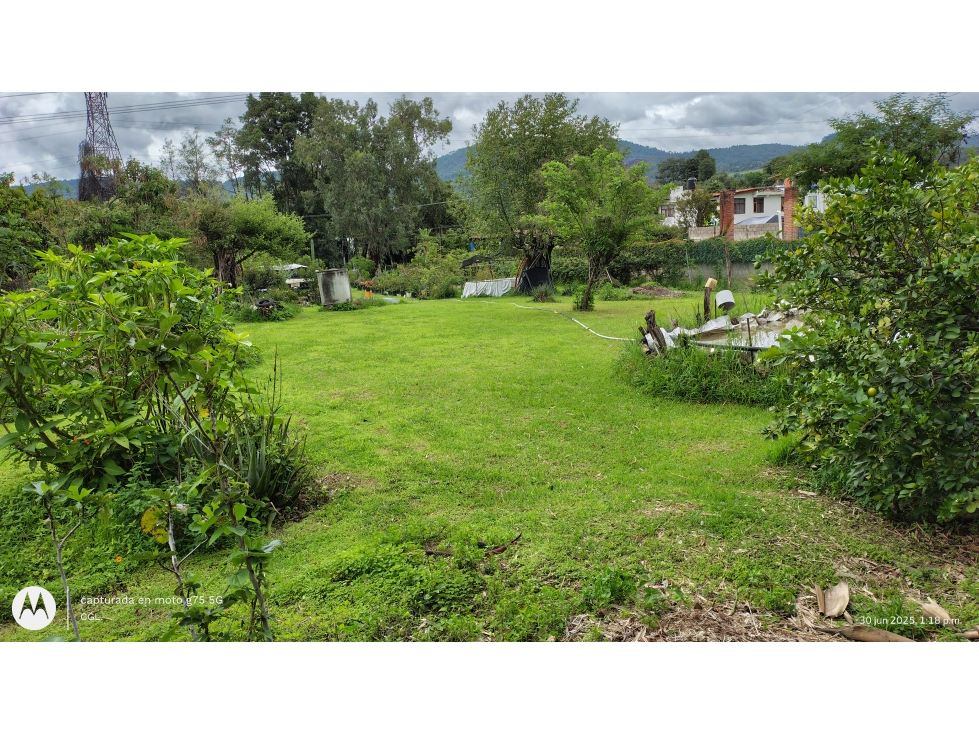 TERRENO EN RENTA EN PIPIOLTEPEC - 2