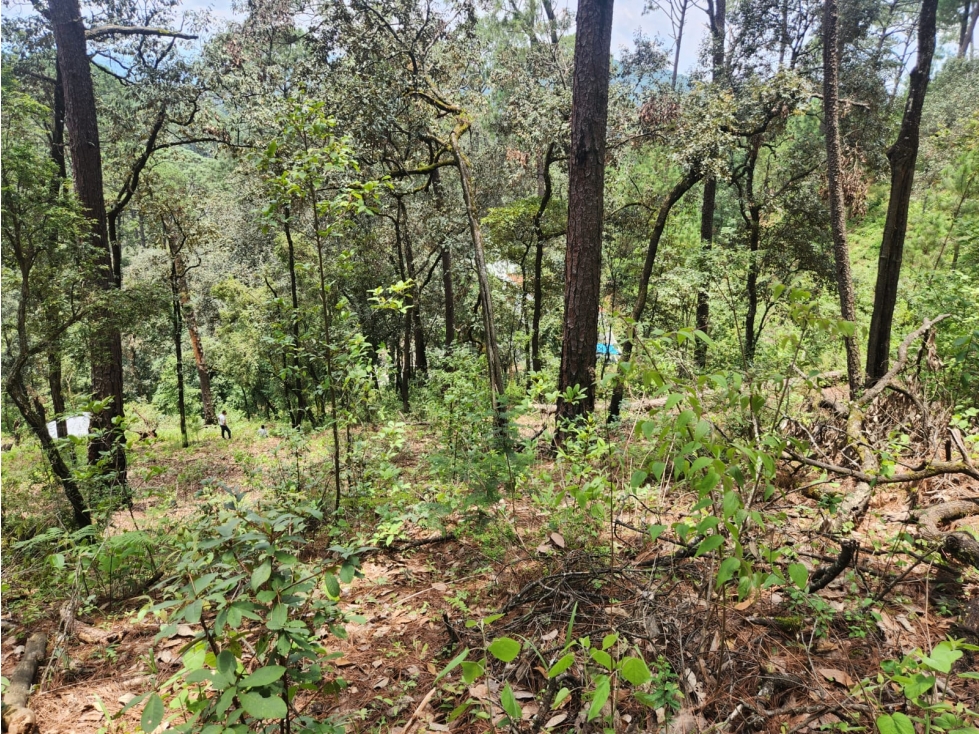 TERRENO EN VENTA EN AVANDARO - 2