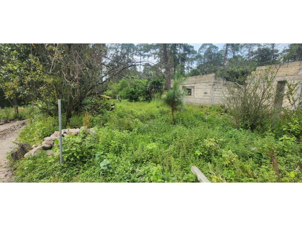 Venta Terreno en Castellano - 2
