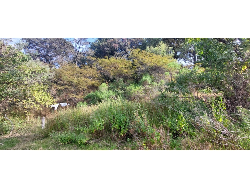 TERRENO EN VENTA EN RINCÓN DE ESTRADAS - 3