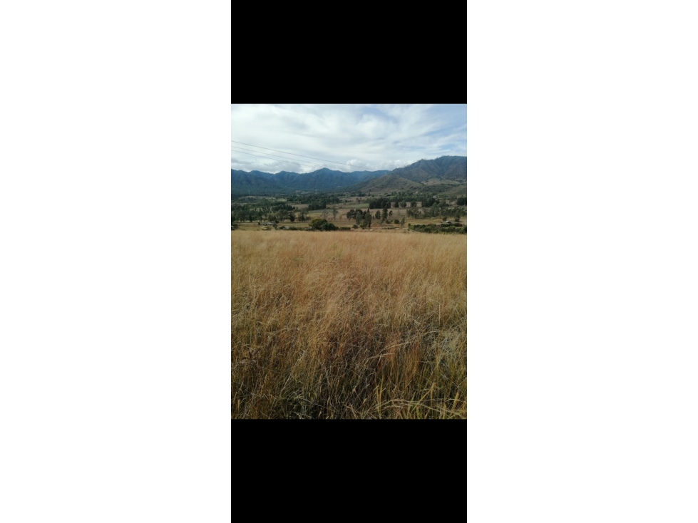 TERRENO EN VENTA EN SANTA TERESA TILOXTOC - 3