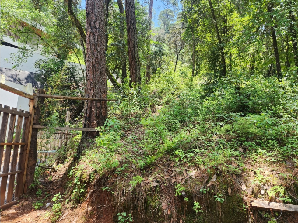 TERRENO EN VENTA EN AVANDARO - 3