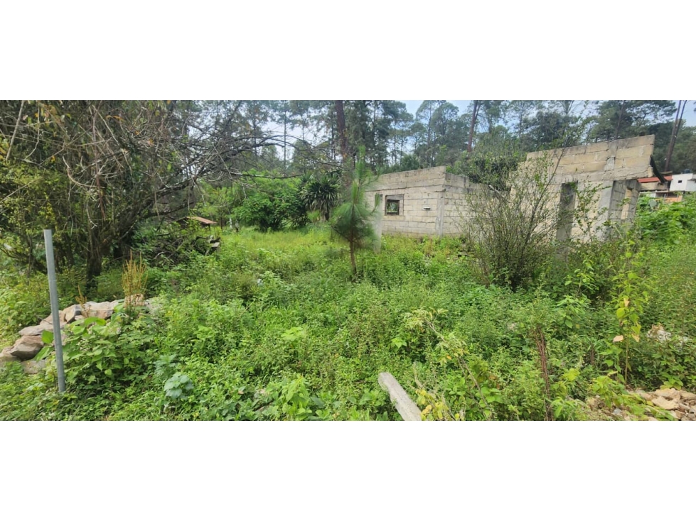 Venta Terreno en Castellano - 3