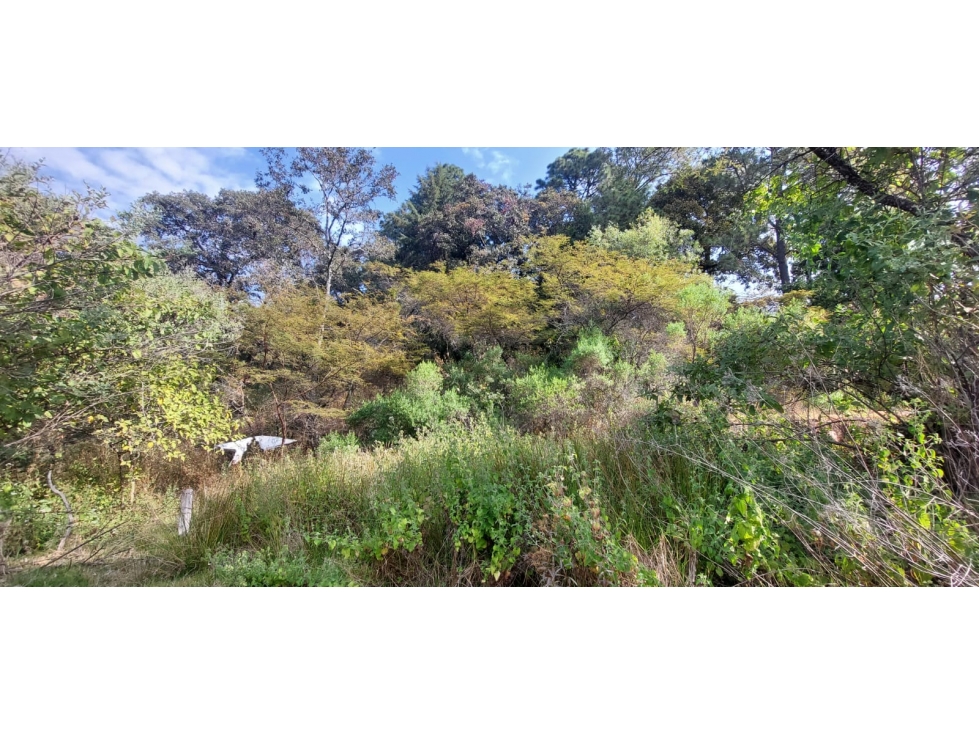 TERRENO EN VENTA EN RINCÓN DE ESTRADAS - 4