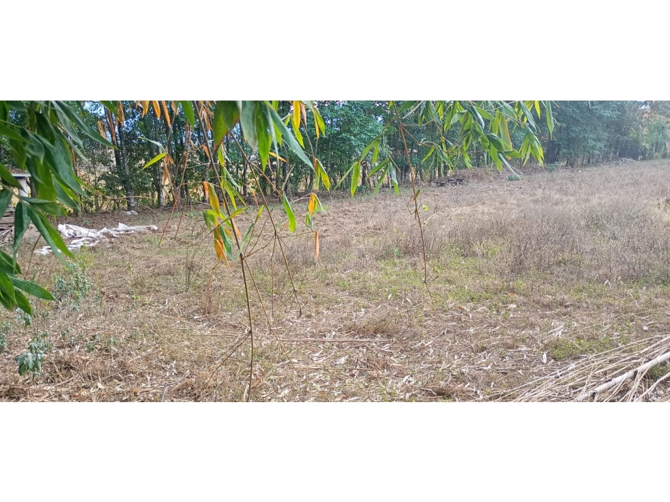 TERRENO EN VENTA EN ACATITLÁN - 4