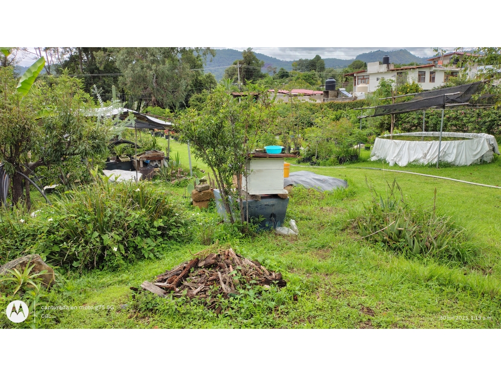 TERRENO EN RENTA EN PIPIOLTEPEC - 4