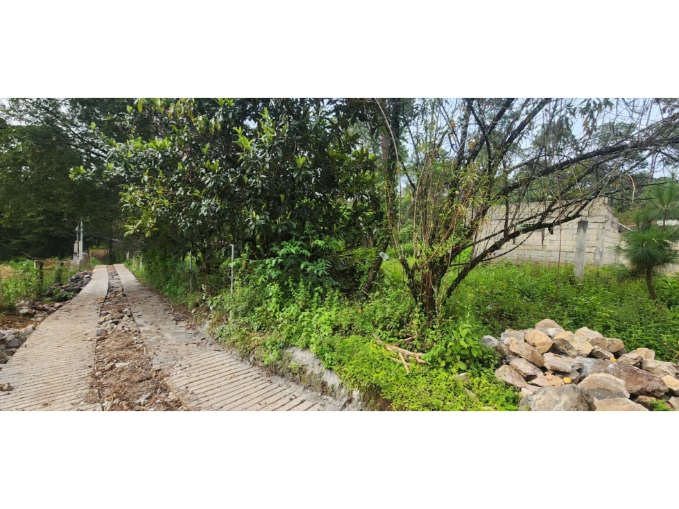 Venta Terreno en Castellano - 4