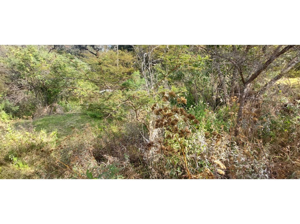 TERRENO EN VENTA EN RINCÓN DE ESTRADAS - 5