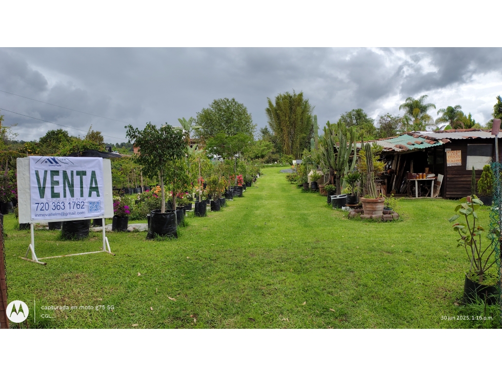 TERRENO EN RENTA EN PIPIOLTEPEC - 5