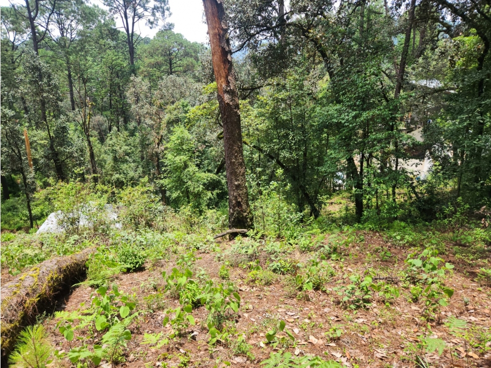 TERRENO EN VENTA EN AVANDARO - 5
