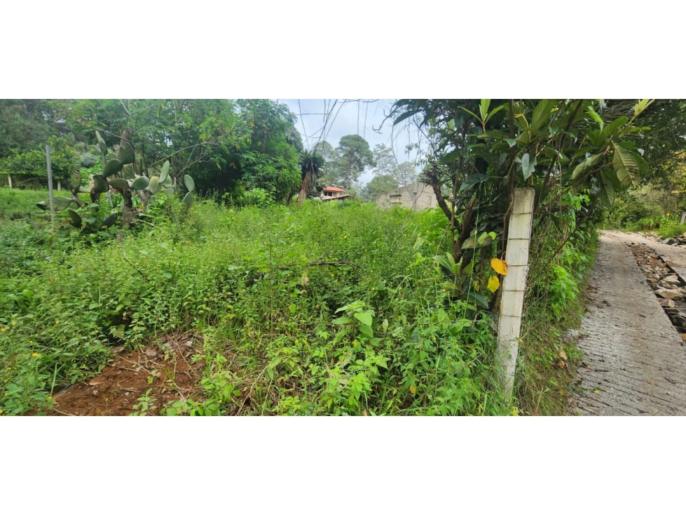 Venta Terreno en Castellano - 5
