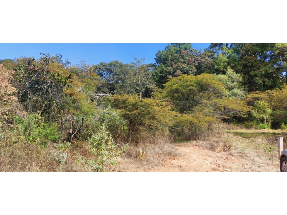 TERRENO EN VENTA EN RINCÓN DE ESTRADAS - 6