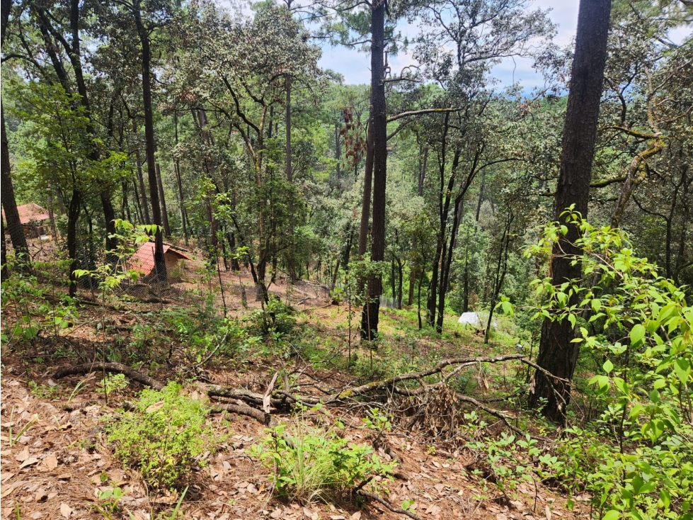 TERRENO EN VENTA EN AVANDARO - 6