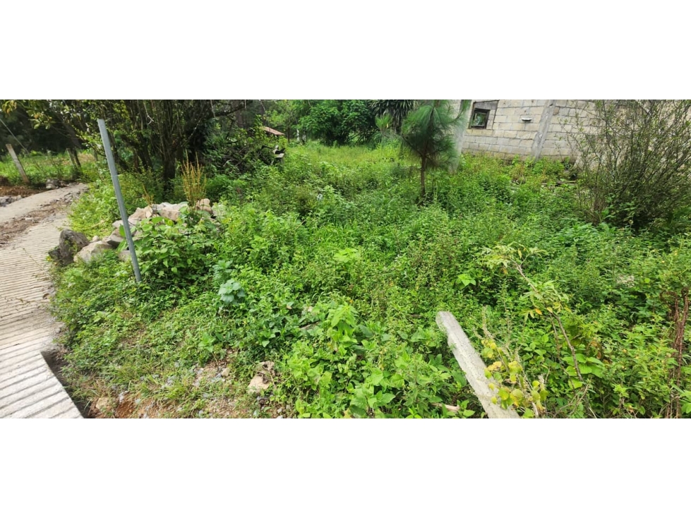 Venta Terreno en Castellano - 6