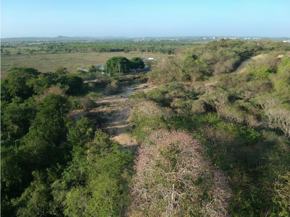 LOTES DE 1500 M2 PARA VENTA EN ZONA NORTE CARTAGENA — foto 4