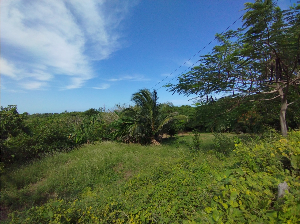 VENTA LOTE DE 6.400 M2 SOBRE LA KM 19 VIA AL MAR EN ARROYO PIEDRA — foto 5