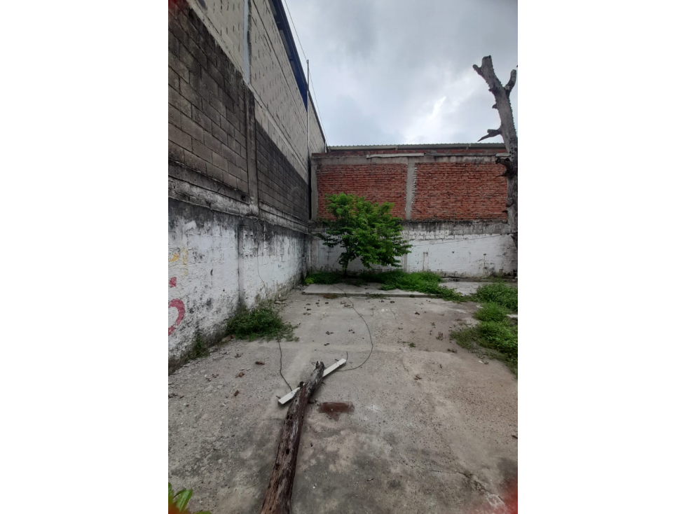 EN VENTA CASA LOTE DE 378M2 EN EL BOSQUE — foto 4