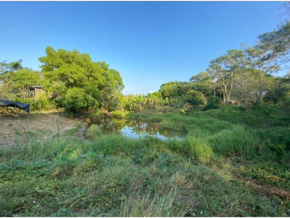 LOTE DE 1.5 HA PARA VENTA EN BAYUNCA