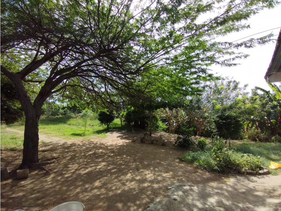 VENTA LOTE DE 6.400 M2 SOBRE LA KM 19 VIA AL MAR EN ARROYO PIEDRA — foto 3