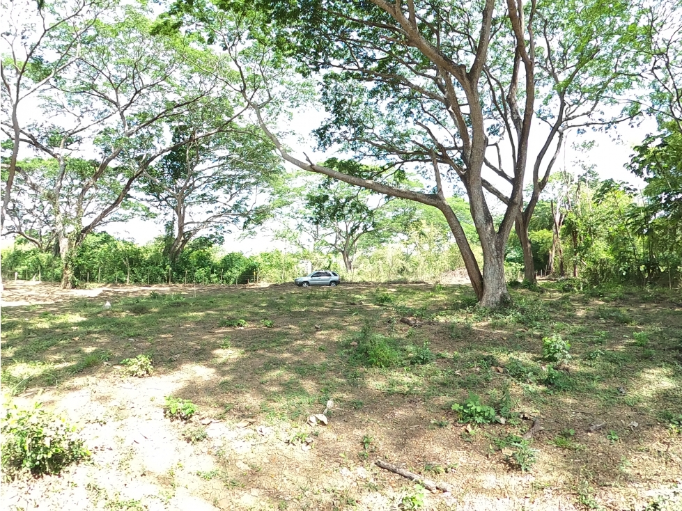 CARTAGENA VENTA LOTE 1 HA PARA PROYECTO RESIDENCIAL EN TURBACO - 2