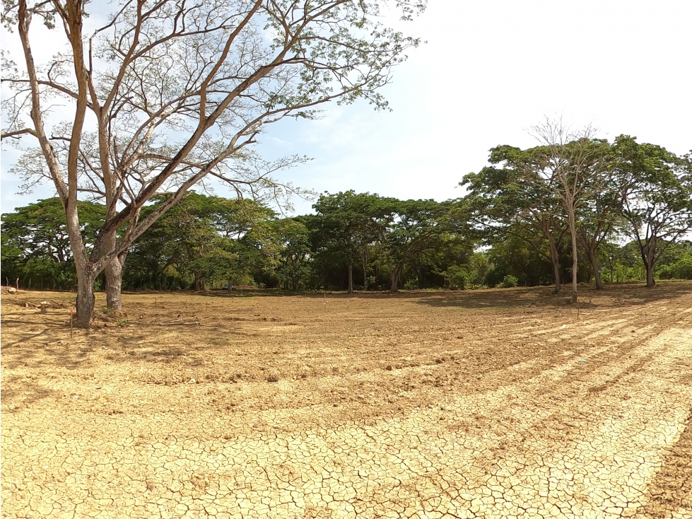 CARTAGENA VENTA LOTE 1 HA PARA PROYECTO RESIDENCIAL EN TURBACO - 6