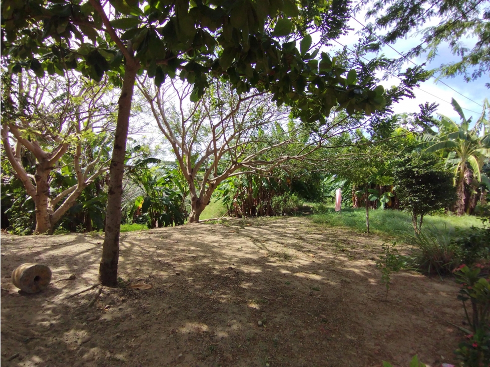 VENTA LOTE DE 6.400 M2 SOBRE LA KM 19 VIA AL MAR EN ARROYO PIEDRA — foto 6