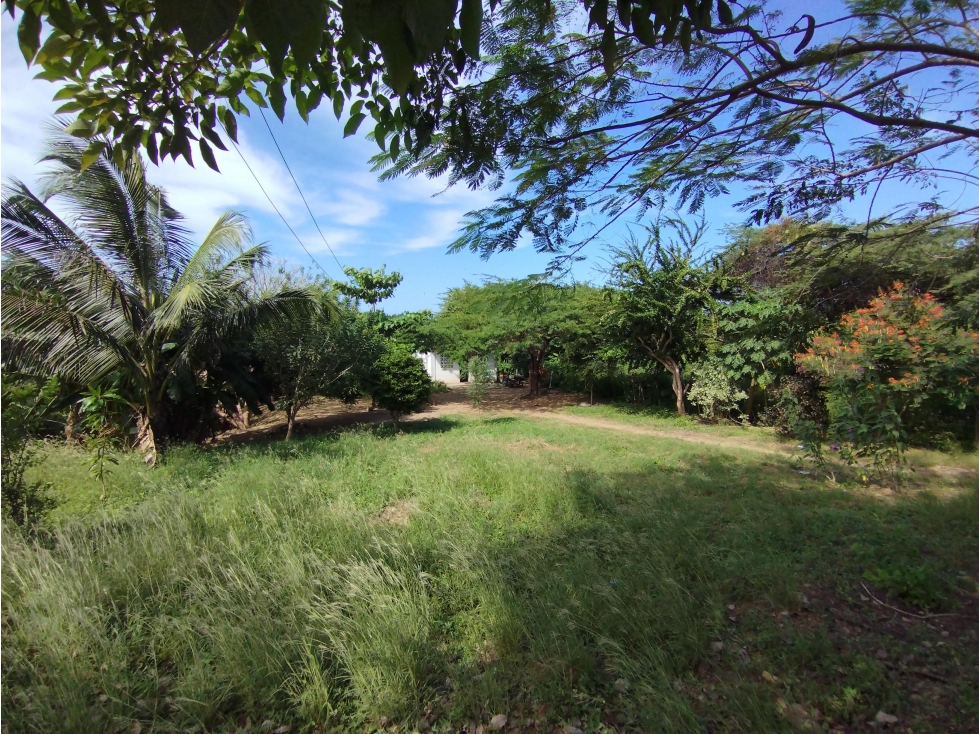 VENTA LOTE DE 6.400 M2 SOBRE LA KM 19 VIA AL MAR EN ARROYO PIEDRA — foto 4
