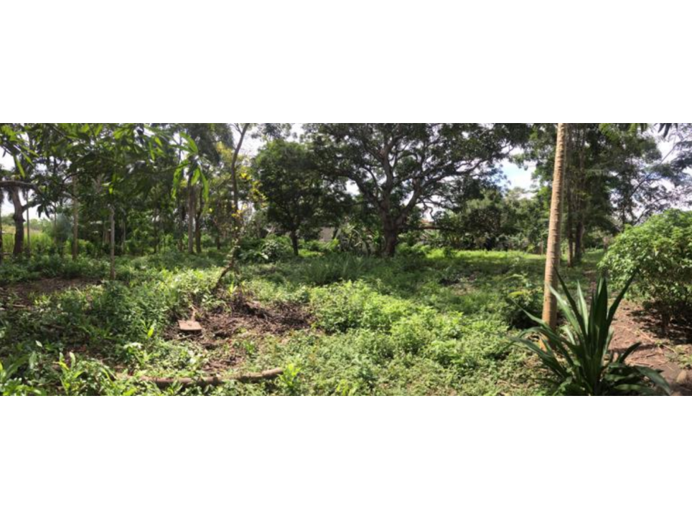 LOTE DE 1.5 HA PARA VENTA EN BAYUNCA — foto 2