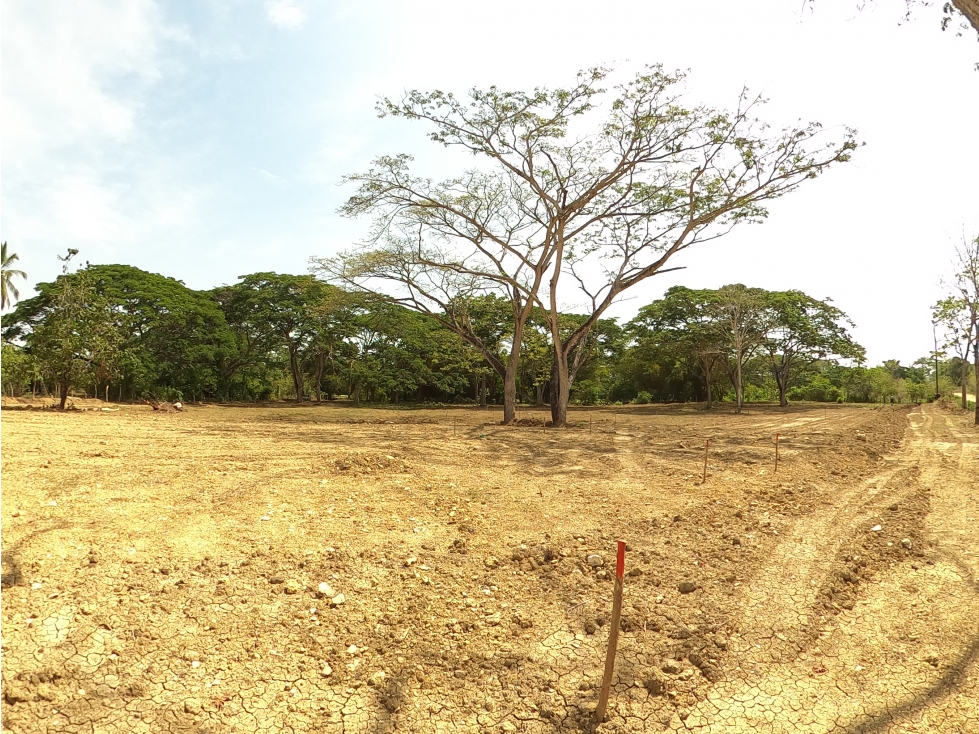 CARTAGENA VENTA LOTE 1 HA PARA PROYECTO RESIDENCIAL EN TURBACO - 3