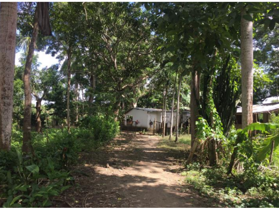 LOTE DE 1.5 HA PARA VENTA EN BAYUNCA — foto 4
