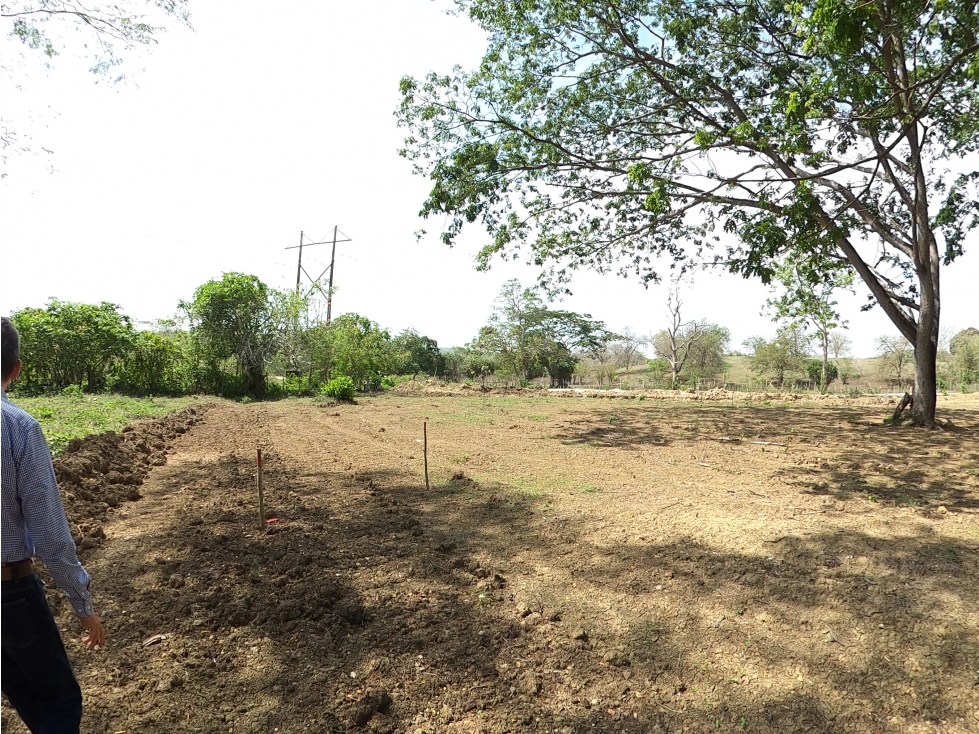 CARTAGENA VENTA LOTE 1 HA PARA PROYECTO RESIDENCIAL EN TURBACO - 4