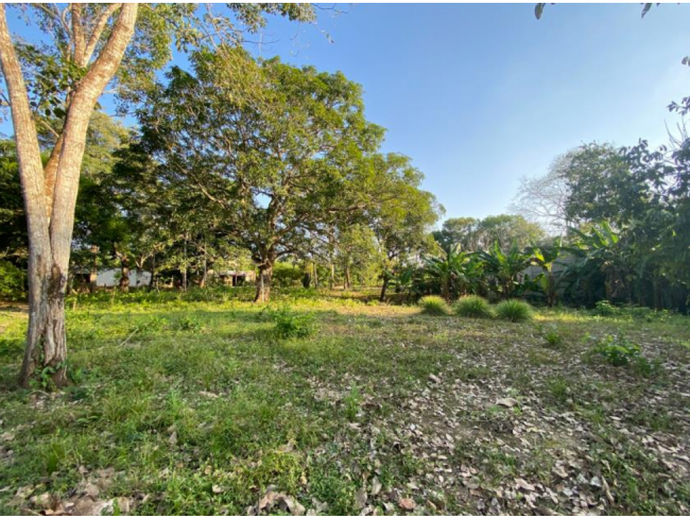 LOTE DE 1.5 HA PARA VENTA EN BAYUNCA — foto 5