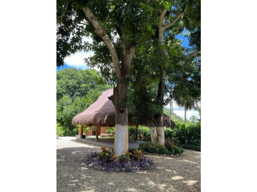 LOTE CAMPESTRE DE 828M2 EN SANTA ROSA DE LIMA PARA VENTA - 2