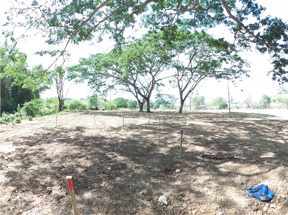 CARTAGENA VENTA LOTE 1 HA PARA PROYECTO RESIDENCIAL EN TURBACO - 5
