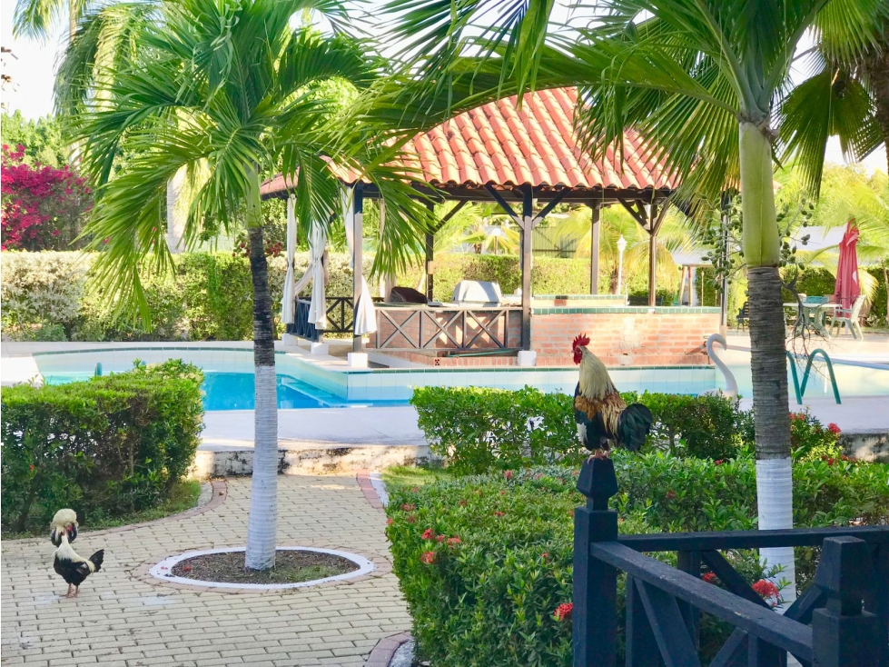 CASA LOTE DE 13.000 M2 PARA VENTA EN ZONA NORTE CARTAGENA — foto 4