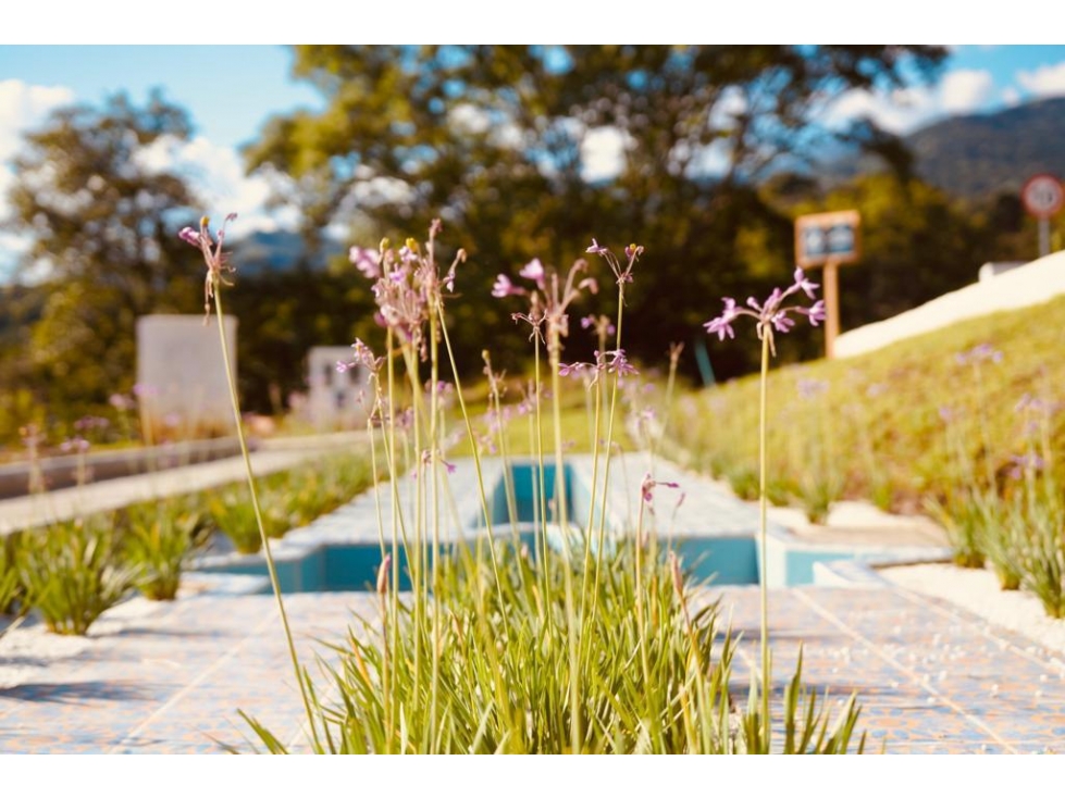 Lote en Sopetrán - Condominio campestre — foto 6