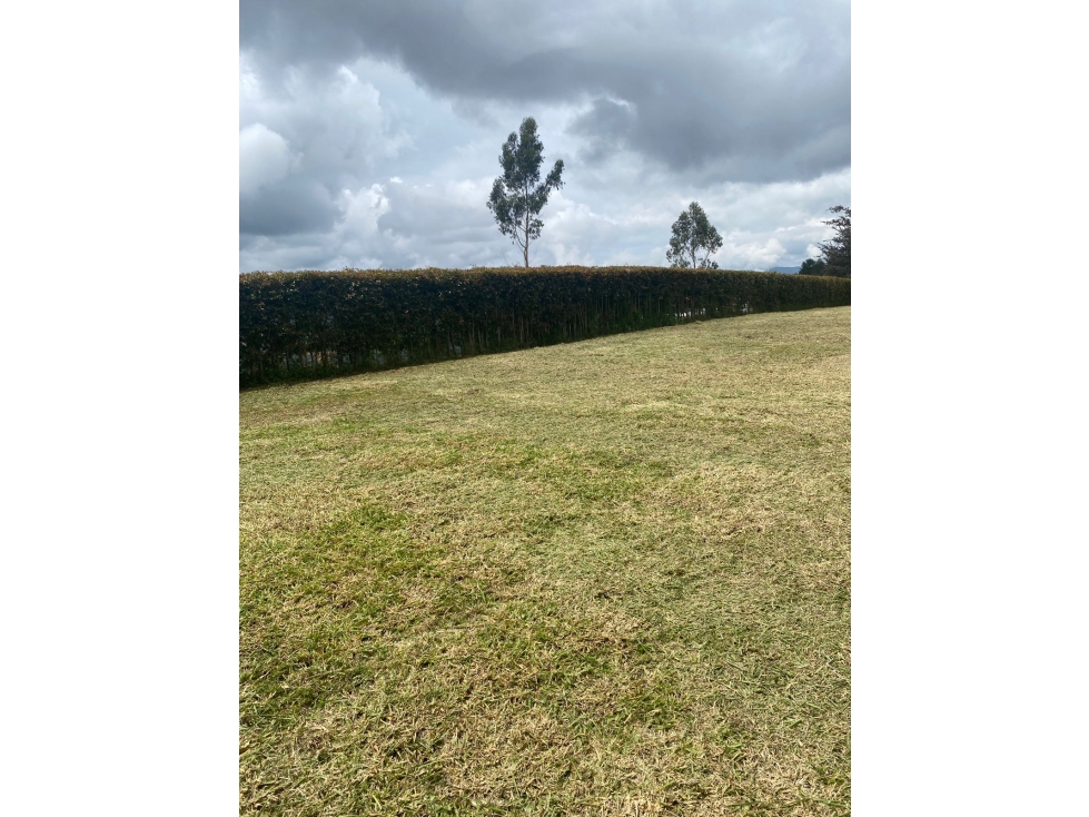 Venta de Lote en Guarne — foto 2