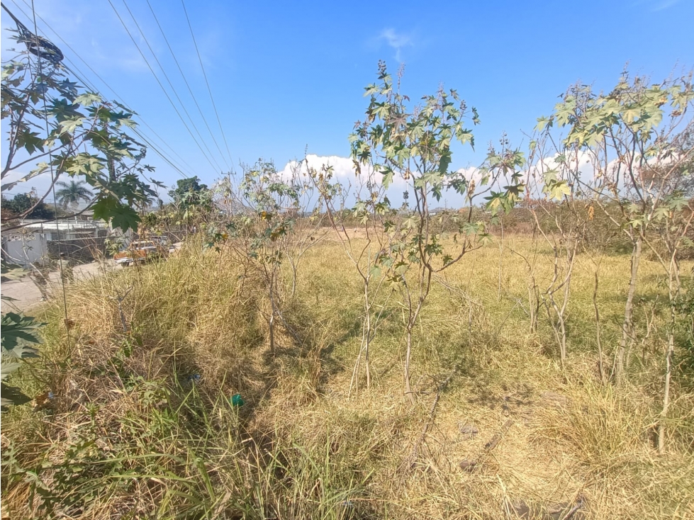 SE VENDE EXCELENTE TERRENO EN XOCHITEPEC,MORELOS - 1