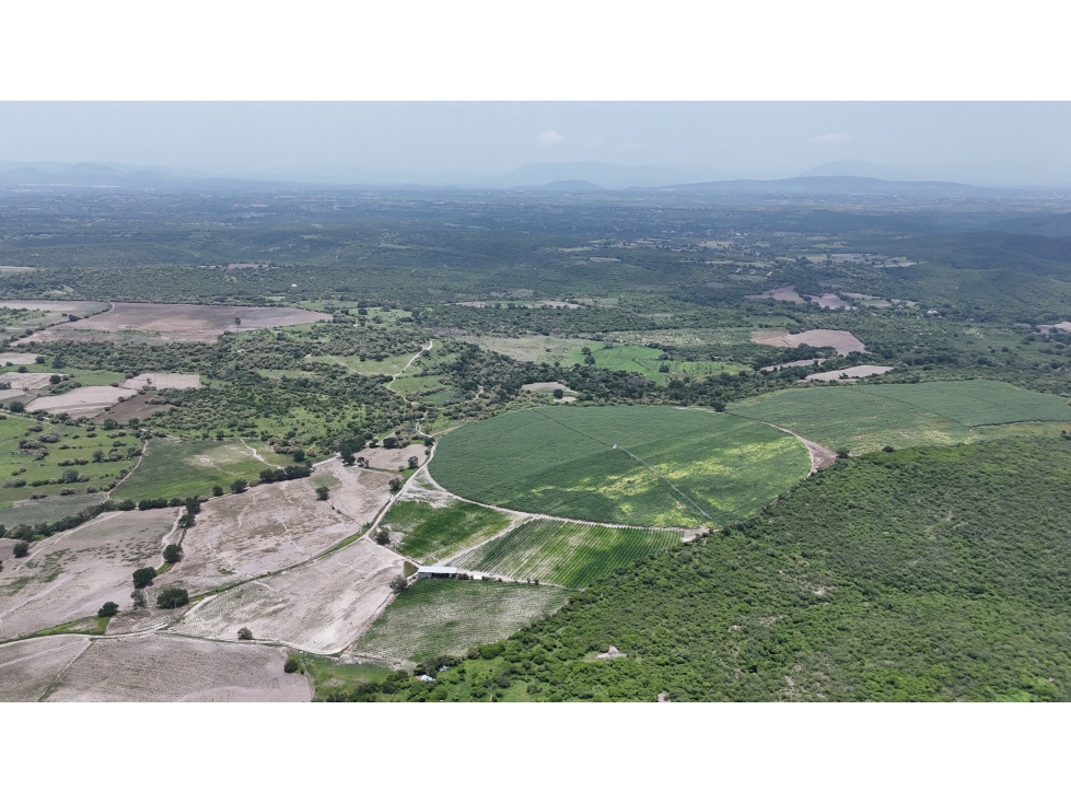 SE VENDE TERRENO EN MAZATEPEC, MORELOS - 1